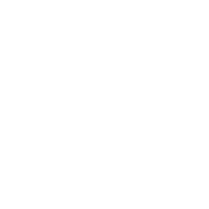 Live Nation & Million Dollar Luxe