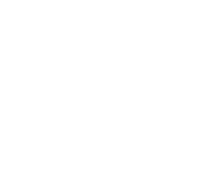 Victoria's Secret & Million Dollar Luxe